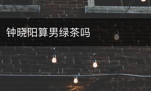 钟晓阳算男绿茶吗