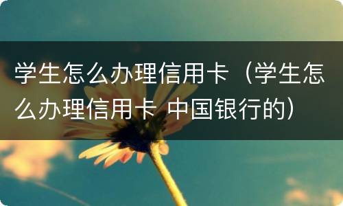 学生怎么办理信用卡（学生怎么办理信用卡 中国银行的）