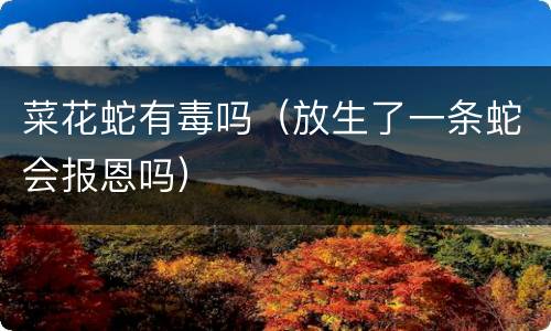 菜花蛇有毒吗（放生了一条蛇会报恩吗）