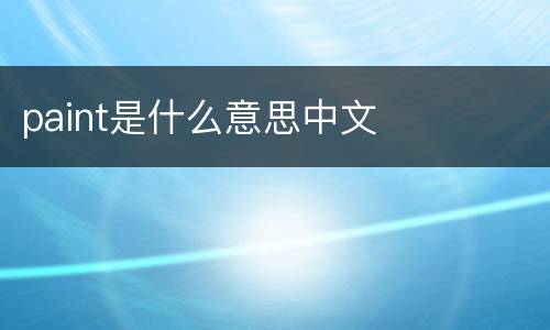 paint是什么意思中文