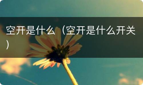 空开是什么（空开是什么开关）