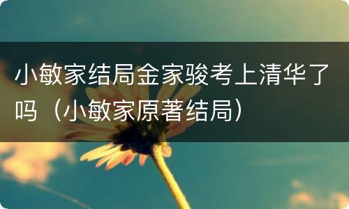 小敏家结局金家骏考上清华了吗（小敏家原著结局）