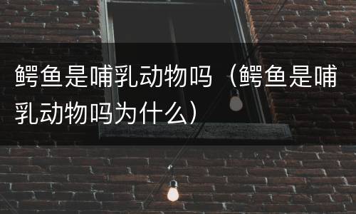 鳄鱼是哺乳动物吗（鳄鱼是哺乳动物吗为什么）