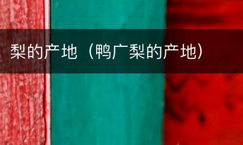 梨的产地（鸭广梨的产地）
