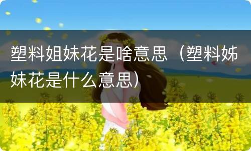 塑料姐妹花是啥意思（塑料姊妹花是什么意思）