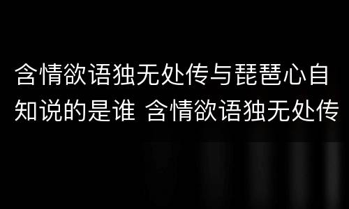 含情欲语独无处传与琵琶心自知说的是谁 含情欲语独无处传与琵琶心自知写的什么人