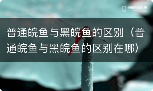 普通皖鱼与黑皖鱼的区别（普通皖鱼与黑皖鱼的区别在哪）