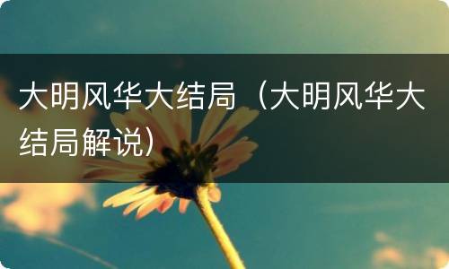 大明风华大结局（大明风华大结局解说）