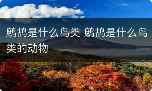 鹧鸪是什么鸟类 鹧鸪是什么鸟类的动物