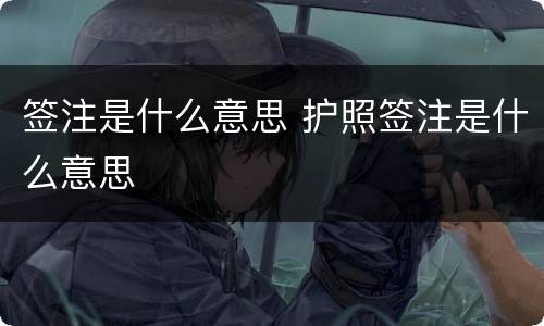签注是什么意思 护照签注是什么意思
