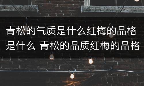 青松的气质是什么红梅的品格是什么 青松的品质红梅的品格
