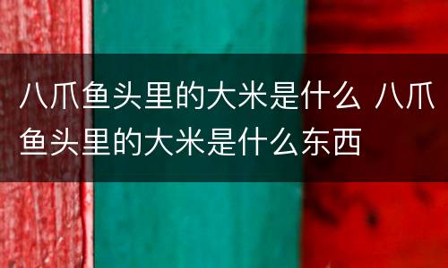 八爪鱼头里的大米是什么 八爪鱼头里的大米是什么东西