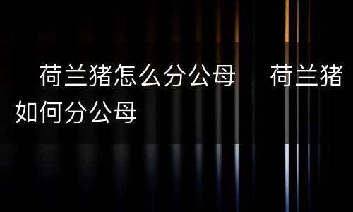 ​荷兰猪怎么分公母 ​荷兰猪如何分公母