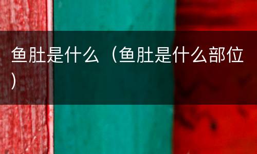 鱼肚是什么（鱼肚是什么部位）