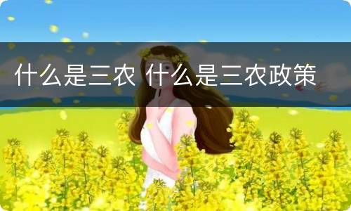 什么是三农 什么是三农政策