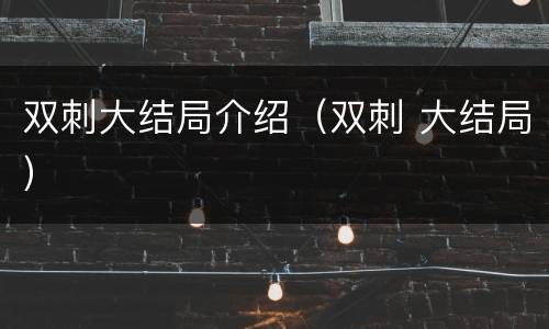 双刺大结局介绍（双刺 大结局）