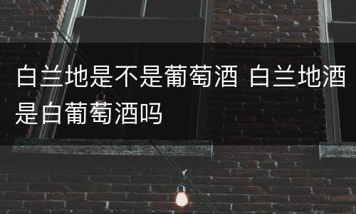 白兰地是不是葡萄酒 白兰地酒是白葡萄酒吗