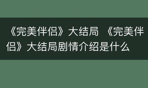 《完美伴侣》大结局 《完美伴侣》大结局剧情介绍是什么