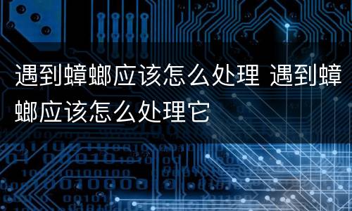 遇到蟑螂应该怎么处理 遇到蟑螂应该怎么处理它