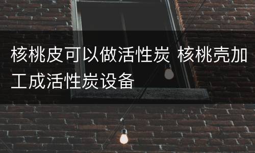 核桃皮可以做活性炭 核桃壳加工成活性炭设备
