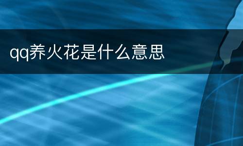 qq养火花是什么意思