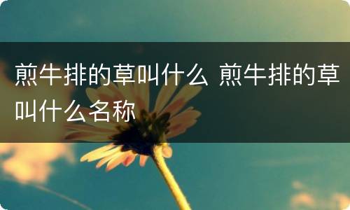 煎牛排的草叫什么 煎牛排的草叫什么名称