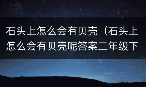 石头上怎么会有贝壳（石头上怎么会有贝壳呢答案二年级下册）