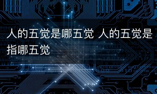 人的五觉是哪五觉 人的五觉是指哪五觉