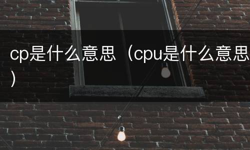 cp是什么意思（cpu是什么意思）