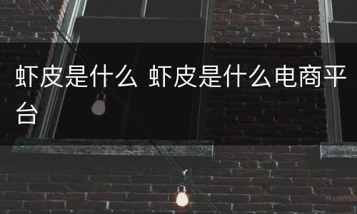 虾皮是什么 虾皮是什么电商平台