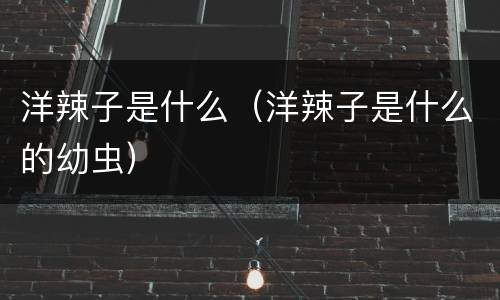 洋辣子是什么（洋辣子是什么的幼虫）