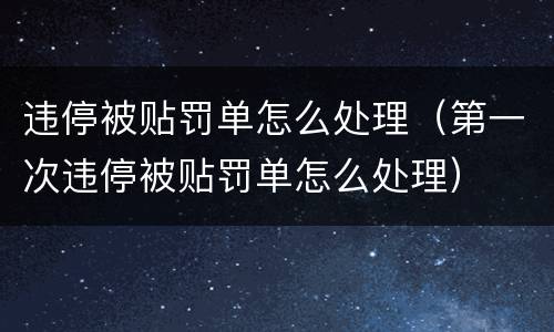 违停被贴罚单怎么处理（第一次违停被贴罚单怎么处理）