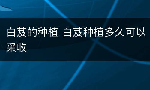 白芨的种植 白芨种植多久可以采收