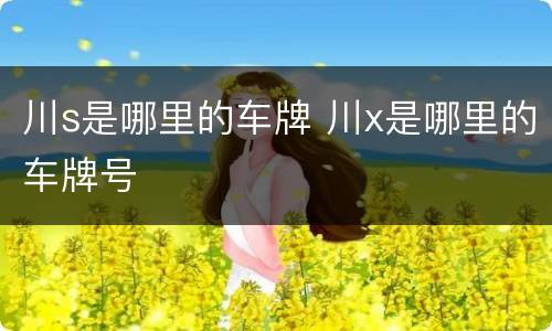 川s是哪里的车牌 川x是哪里的车牌号