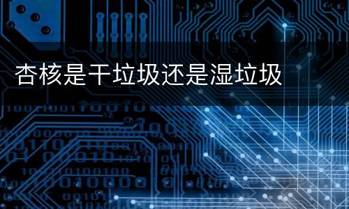 杏核是干垃圾还是湿垃圾