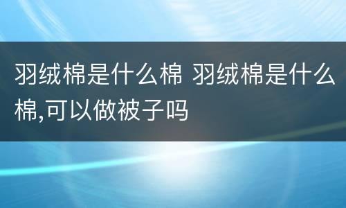 羽绒棉是什么棉 羽绒棉是什么棉,可以做被子吗