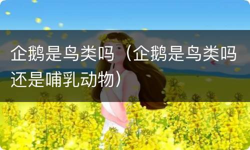 企鹅是鸟类吗（企鹅是鸟类吗还是哺乳动物）