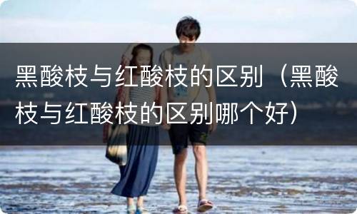 黑酸枝与红酸枝的区别（黑酸枝与红酸枝的区别哪个好）