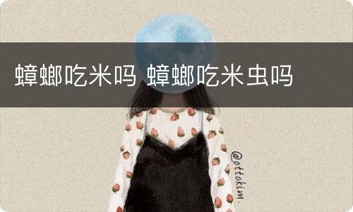 蟑螂吃米吗 蟑螂吃米虫吗