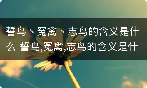 誓鸟丶冤禽丶志鸟的含义是什么 誓鸟,冤禽,志鸟的含义是什么