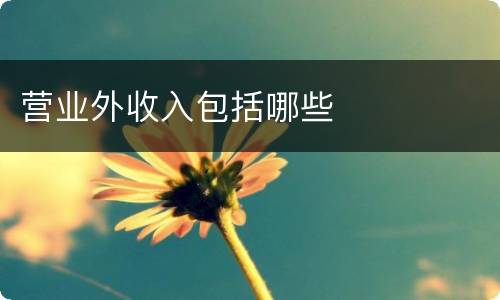 营业外收入包括哪些