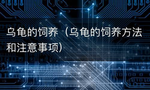 乌龟的饲养（乌龟的饲养方法和注意事项）