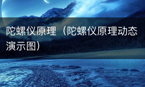 陀螺仪原理（陀螺仪原理动态演示图）