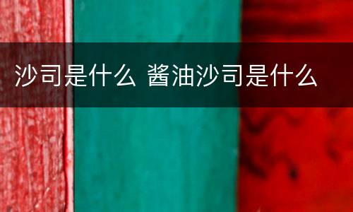 沙司是什么 酱油沙司是什么