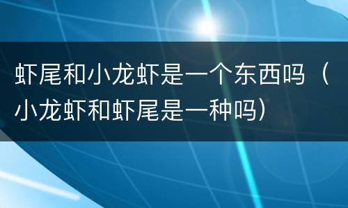 虾尾和小龙虾是一个东西吗（小龙虾和虾尾是一种吗）