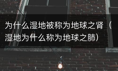 为什么湿地被称为地球之肾（湿地为什么称为地球之肺）