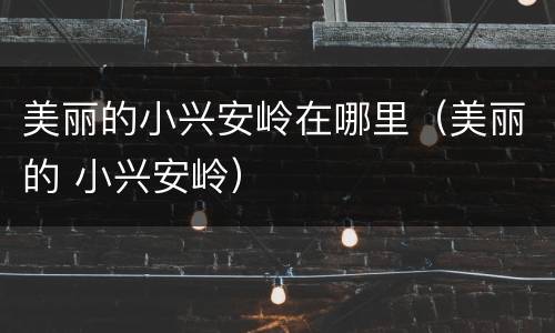 美丽的小兴安岭在哪里（美丽的 小兴安岭）