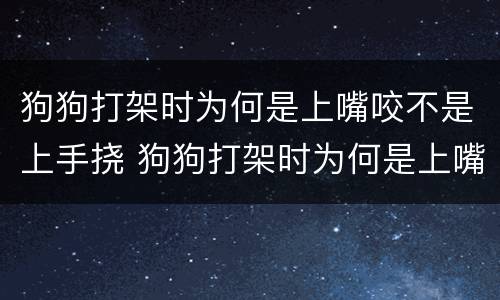 狗狗打架时为何是上嘴咬不是上手挠 狗狗打架时为何是上嘴咬不是上手挠的