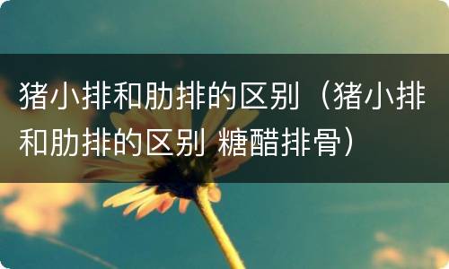 猪小排和肋排的区别（猪小排和肋排的区别 糖醋排骨）