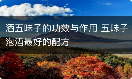 酒五味子的功效与作用 五味子泡酒最好的配方